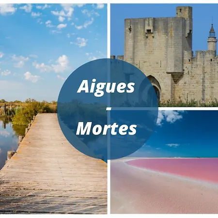 La Canopee Parking Prive Climatisation Terrasse Recente De Standing * ラ・グランド・モット